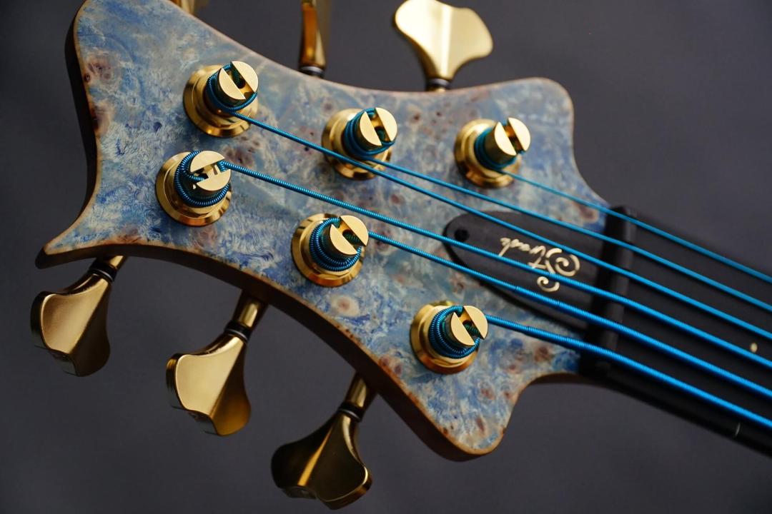 Stradi Symphony Bass 6 Blue Fretless Hollowbody
